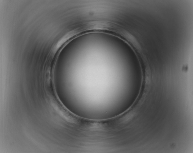 X0000112871226200908211418