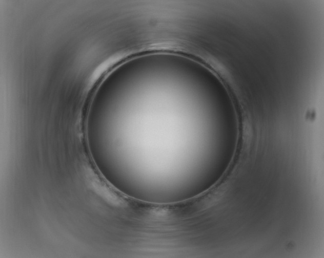 X0000112871230200908211418