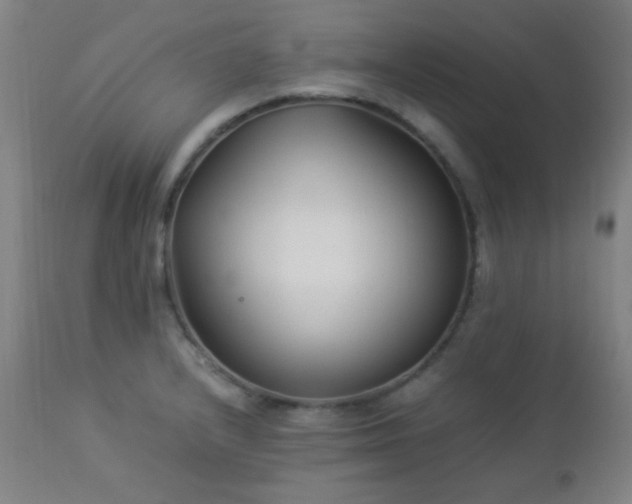 X0000112871232200908211418
