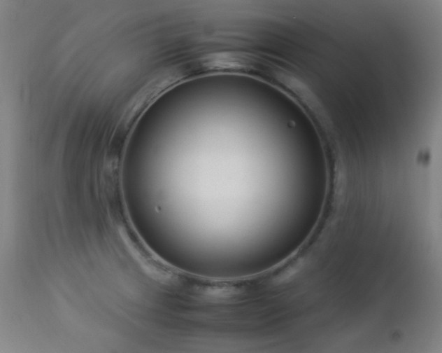 X0000112871233200908211418