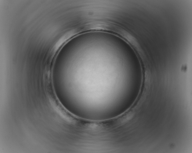 X0000112871234200908211418