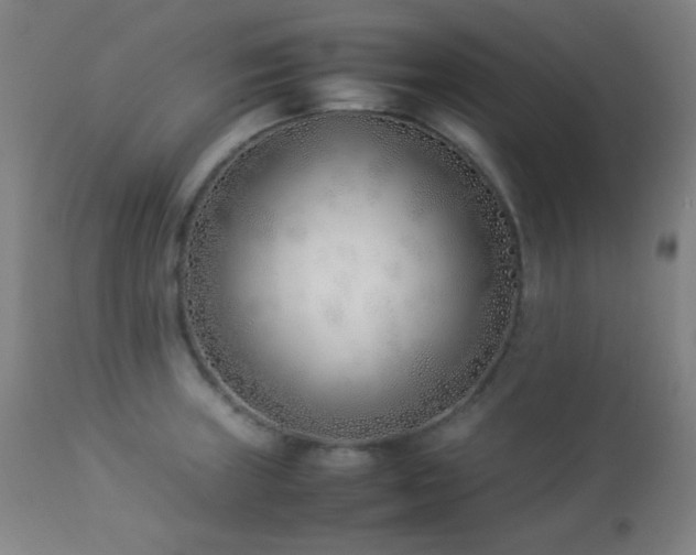 X0000112871235200908211418