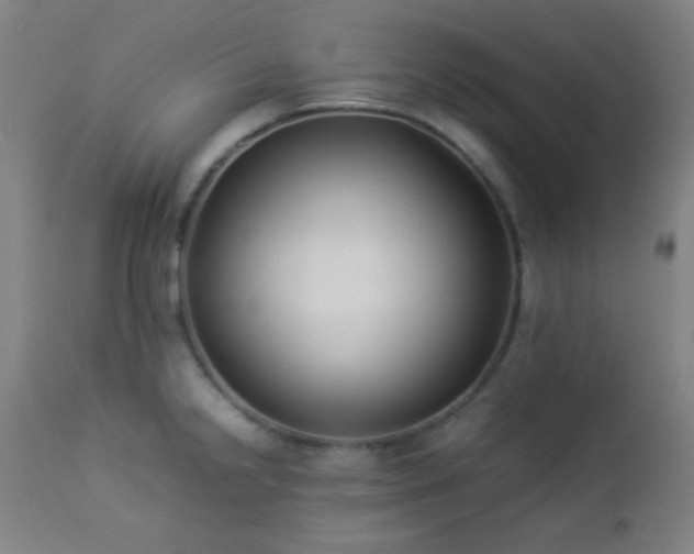 X0000112871238200908211418