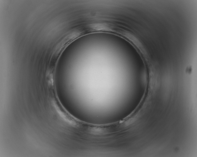 X0000112871241200908211418