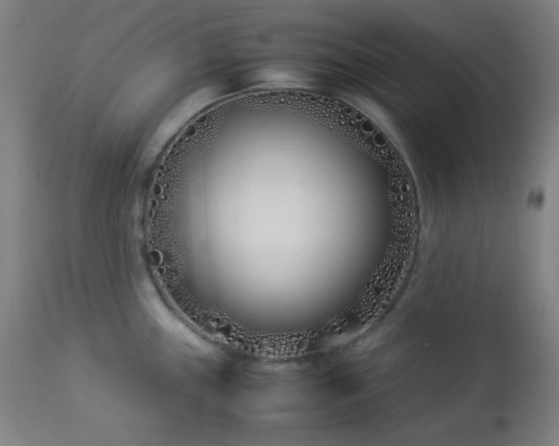 X0000112871243200908211418