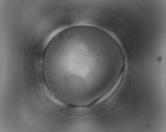 X0000112871246200908211418