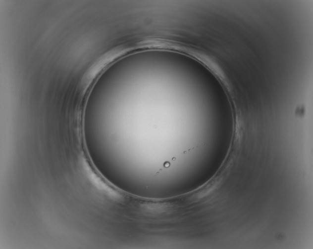 X0000112871247200908211418
