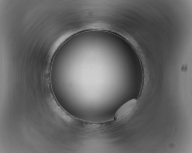 X0000112871248200908211418