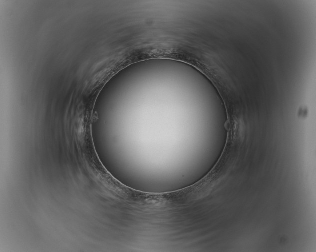 X0000112871250200908211418