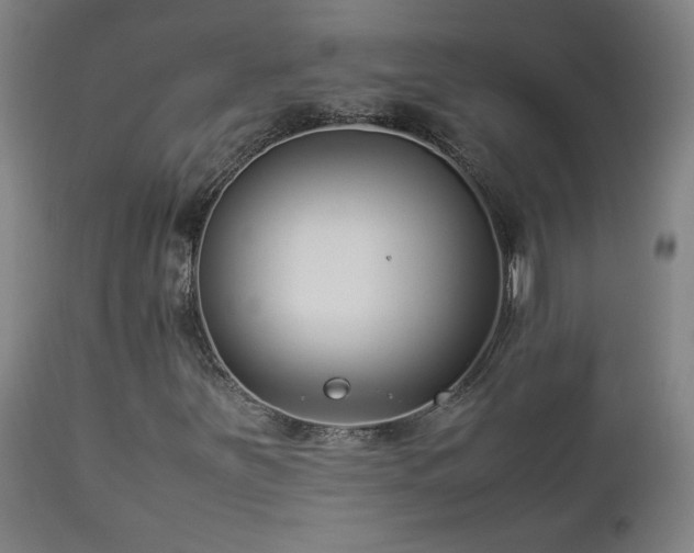X0000112871251200908211418