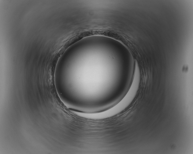 X0000112871252200908211418