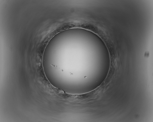 X0000112871253200908211418