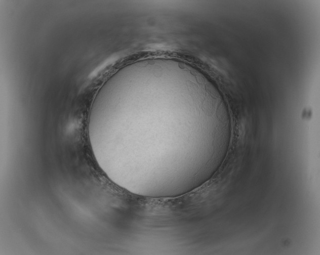 X0000112871254200908211418