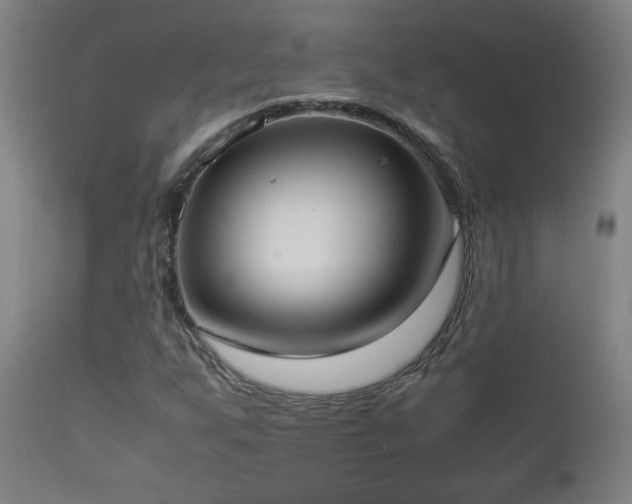 X0000112871255200908211418