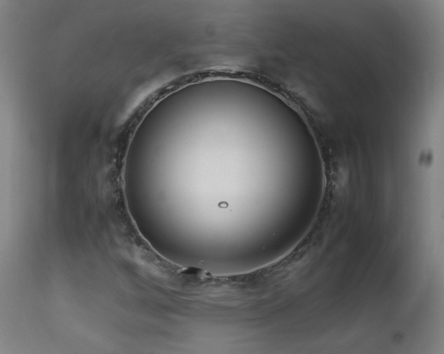 X0000112871256200908211418