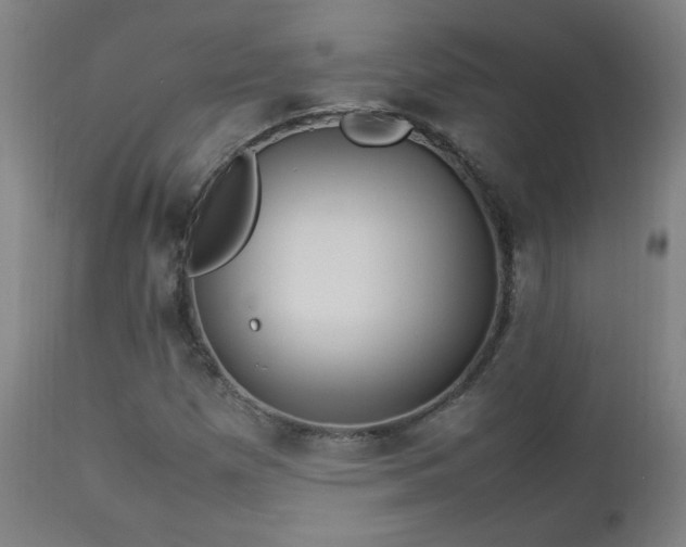 X0000112871257200908211418