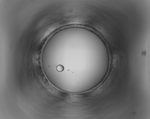 X0000112871258200908211418