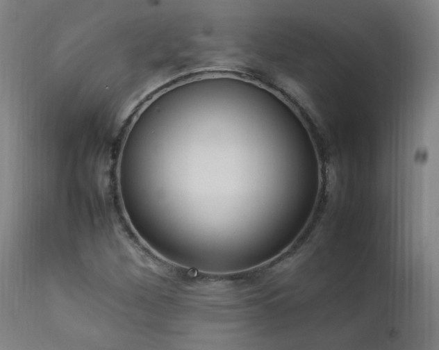 X0000112871260200908211417