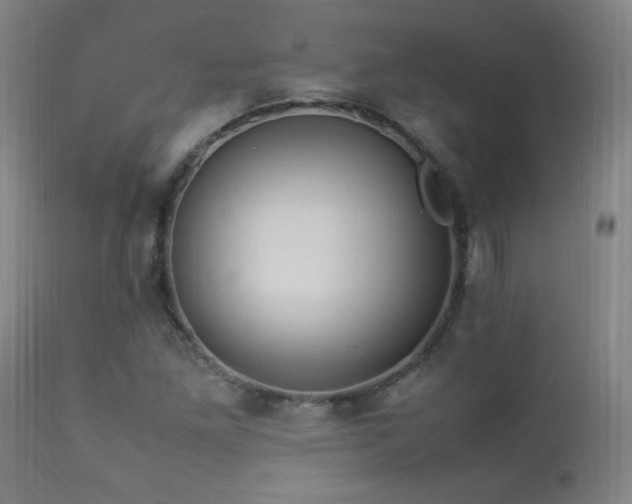 X0000112871261200908211417