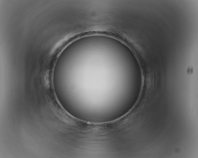 X0000112871262200908211417