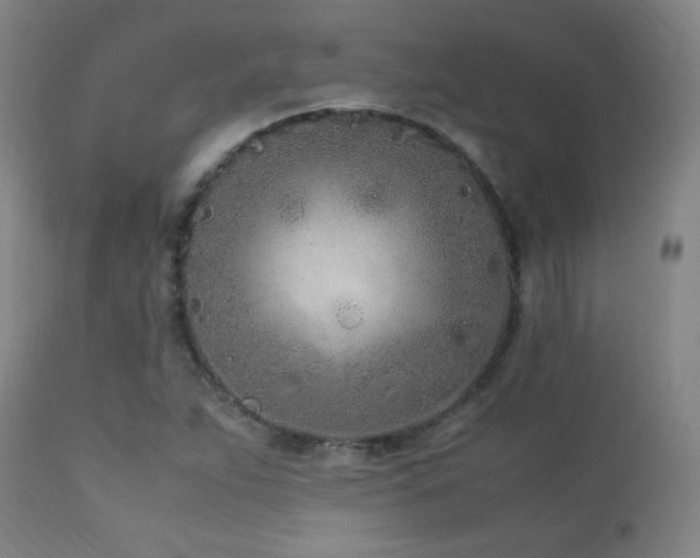 X0000112871263200908211417