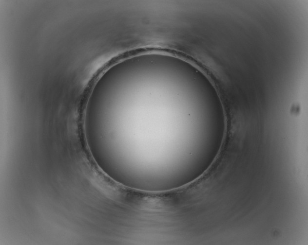 X0000112871264200908211417