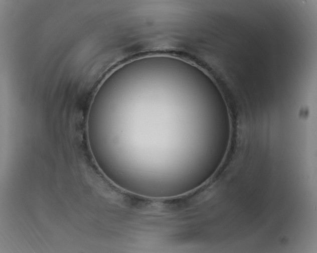 X0000112871265200908211417