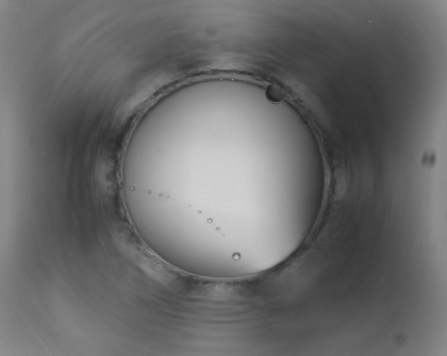 X0000112871266200908211417