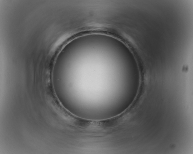 X0000112871267200908211417