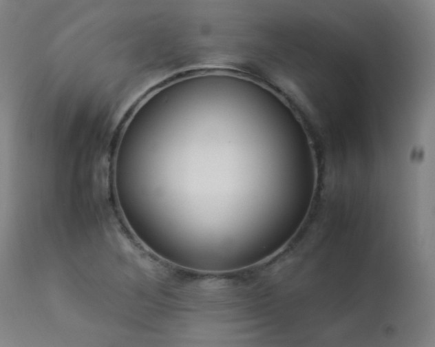 X0000112871268200908211417