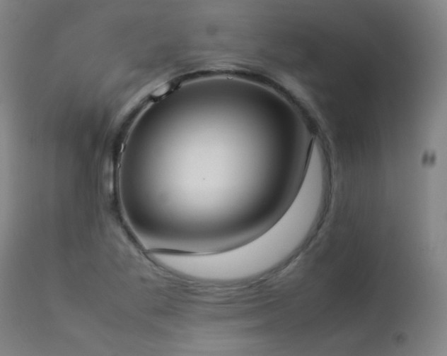 X0000112871269200908211417