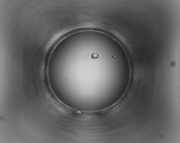 X0000112871270200908211417