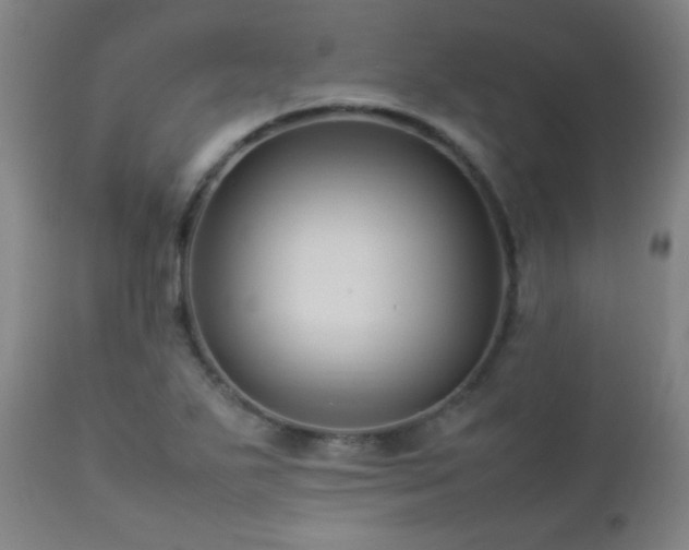 X0000112871271200908211417
