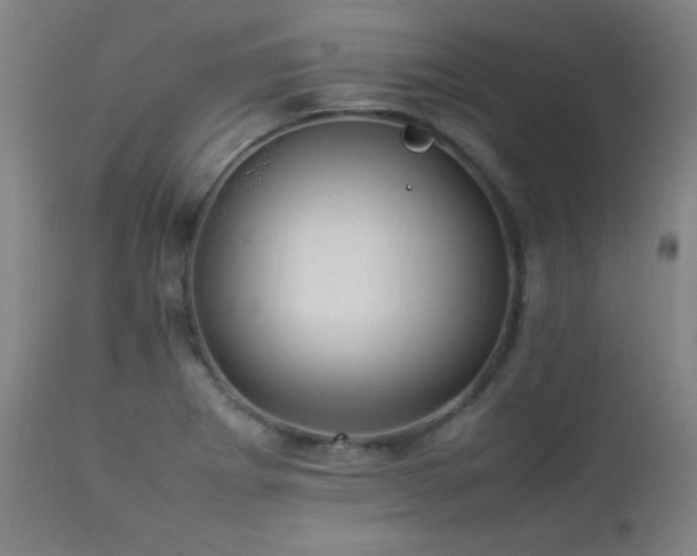 X0000112871273200908211417