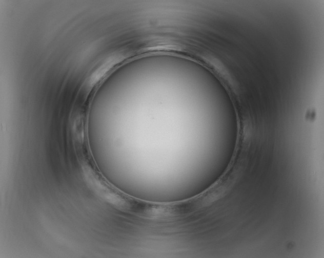X0000112871274200908211417