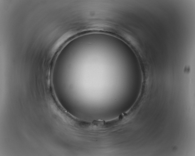 X0000112871275200908211417