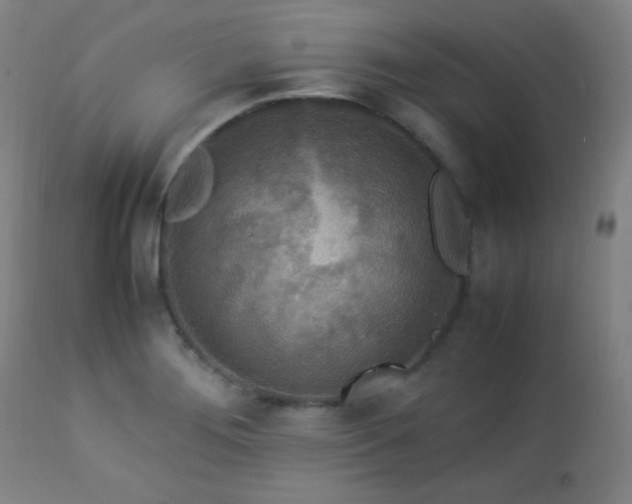 X0000112871276200908211417