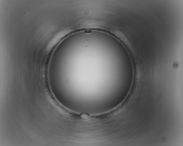 X0000112871277200908211417