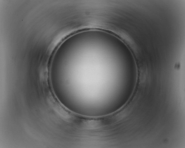 X0000112871280200908211417