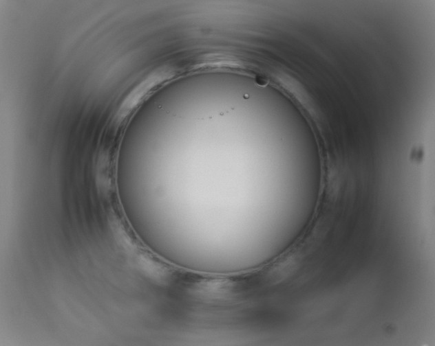 X0000112871282200908211417