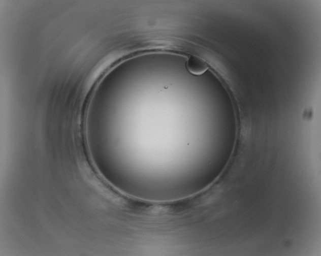 X0000112871283200908211417