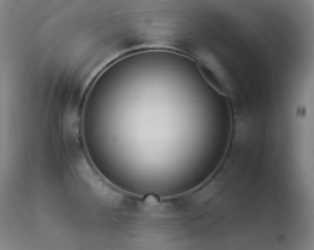 X0000112871284200908211417