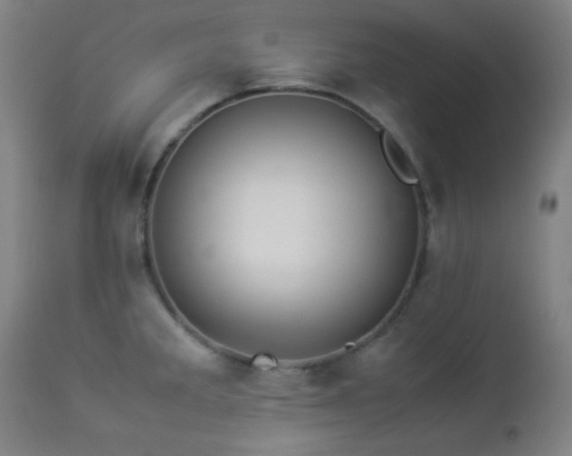 X0000112871285200908211417
