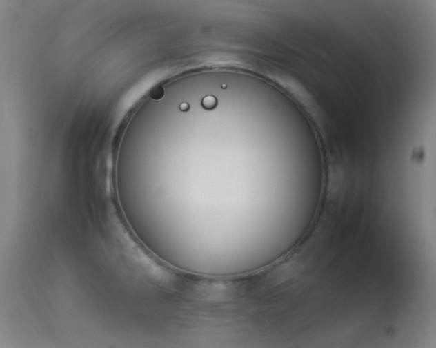 X0000112871286200908211417