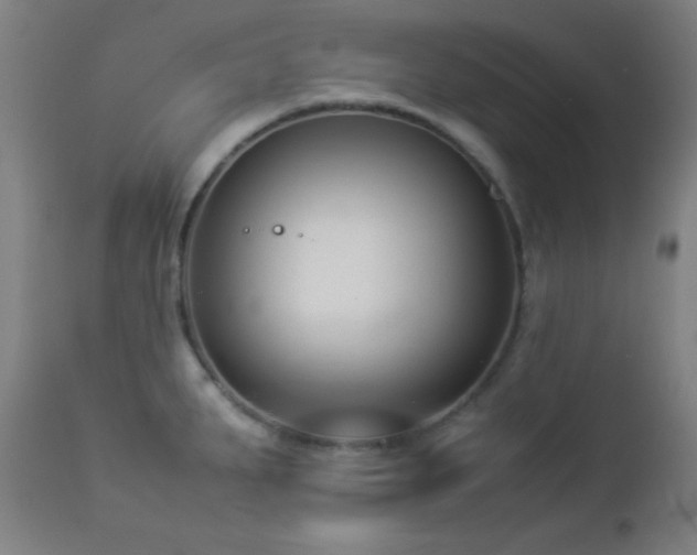 X0000112871287200908211417