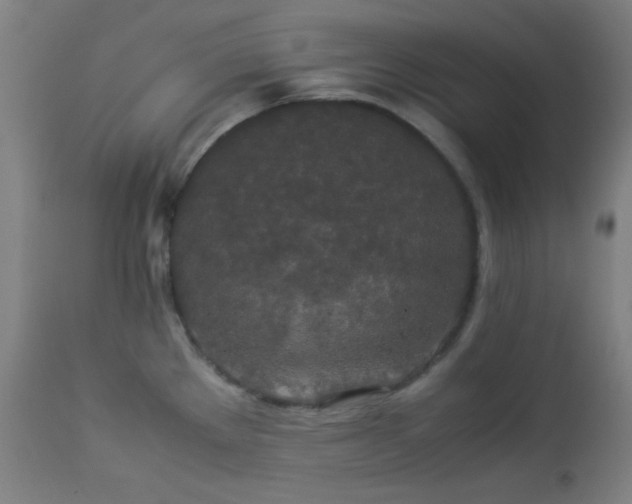 X0000112871289200908211417