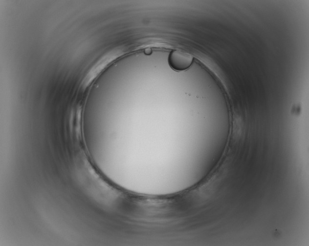 X0000112871290200908211417