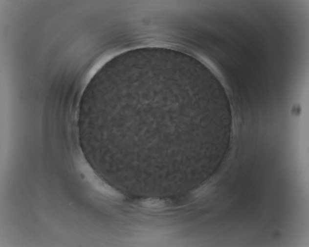 X0000112871291200908211417