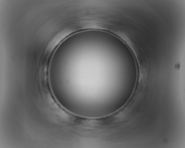 X0000112871293200908211417