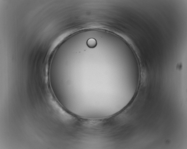 X0000112871294200908211417